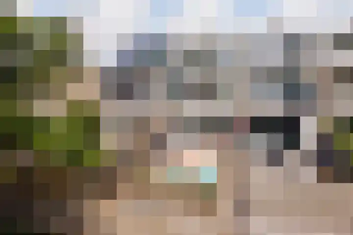 De Zalm 47 Makkum thumbnail 15