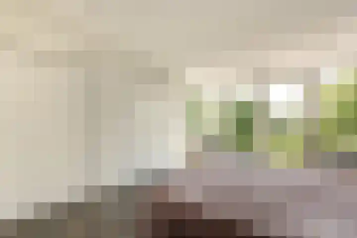 De Zalm 47 Makkum thumbnail 21