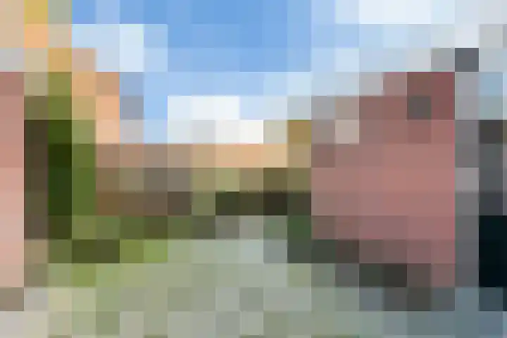 De Zalm 5 Makkum thumbnail 18