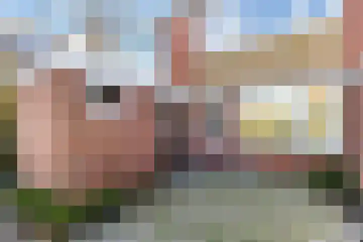 De Zalm 5 Makkum thumbnail 19