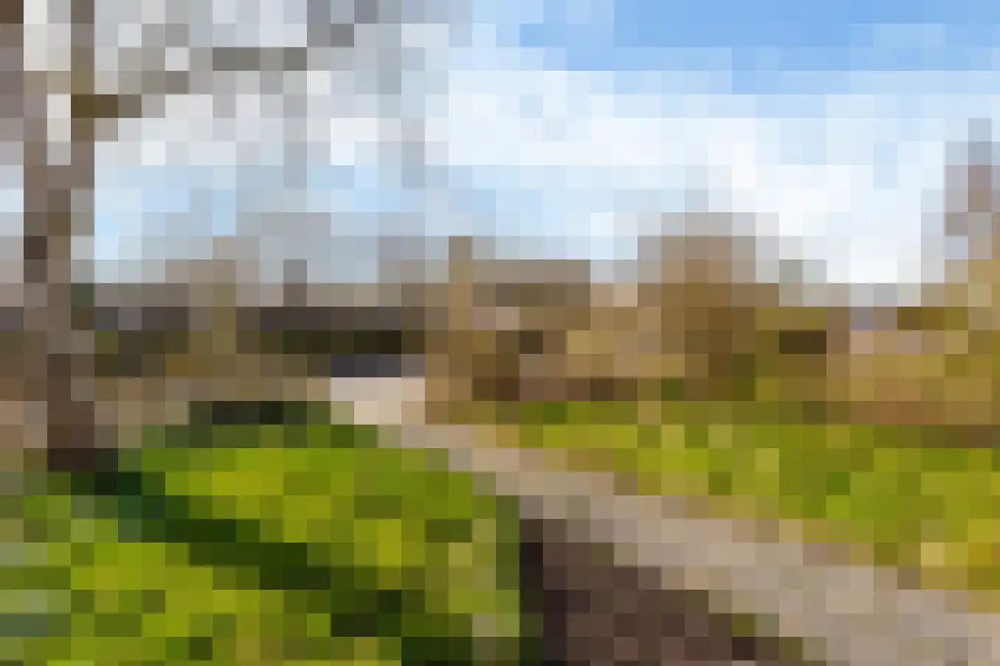 De Zalm 5 Makkum thumbnail 4