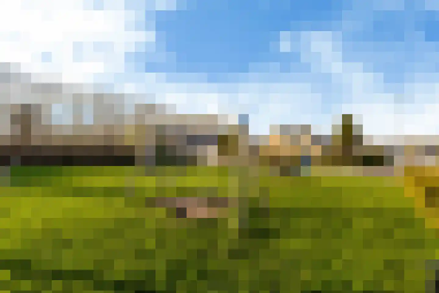 De Zalm 5 Makkum thumbnail 5