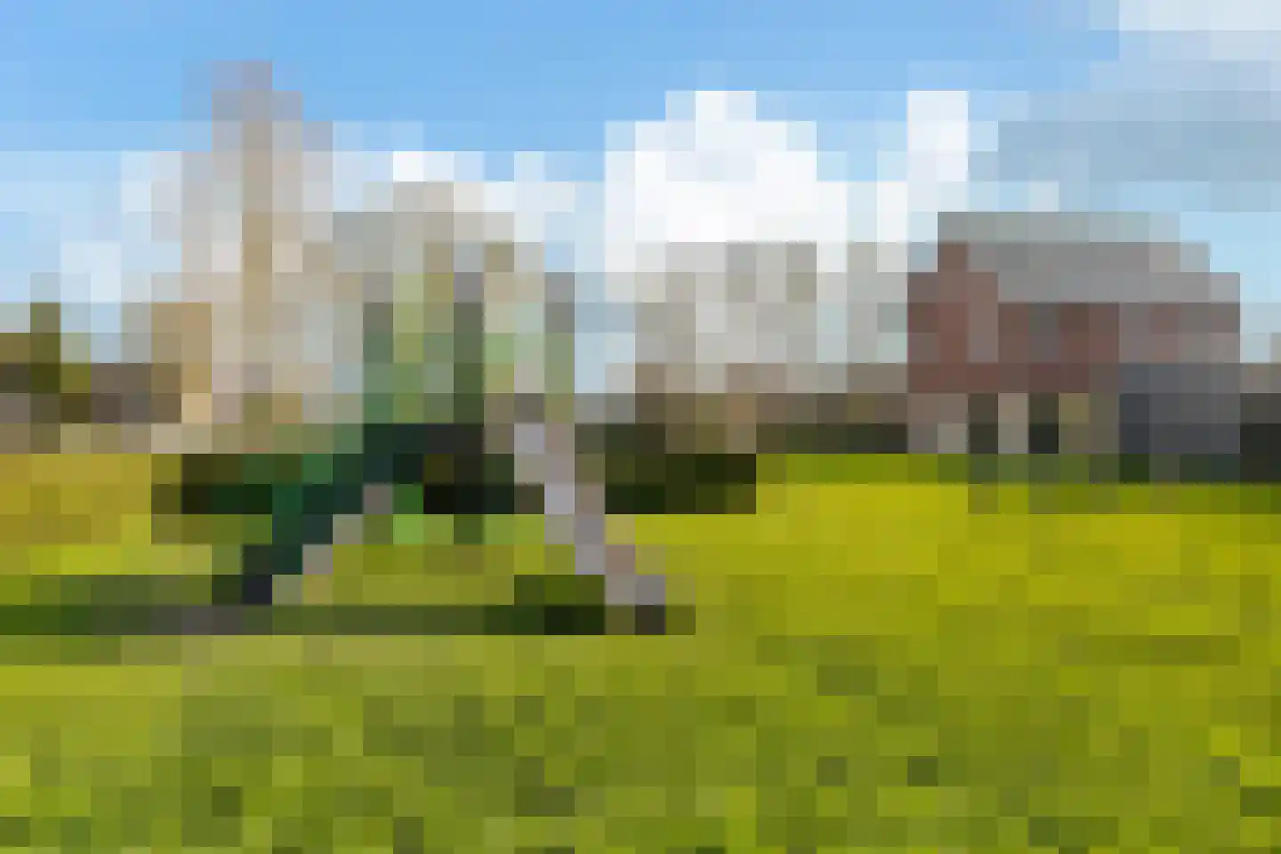 De Zalm 5 Makkum thumbnail 6