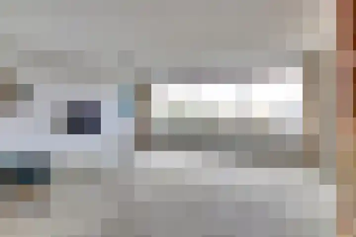 De Zalmen 101 Doorwerth thumbnail 11