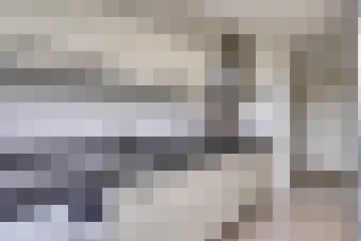 De Zalmen 101 Doorwerth thumbnail 19