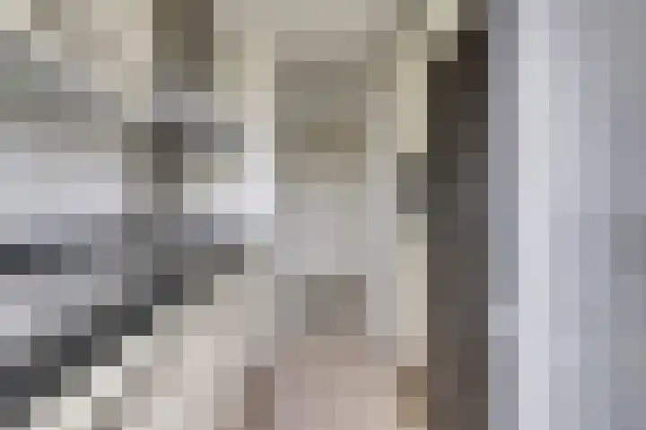 De Zalmen 101 Doorwerth thumbnail 20