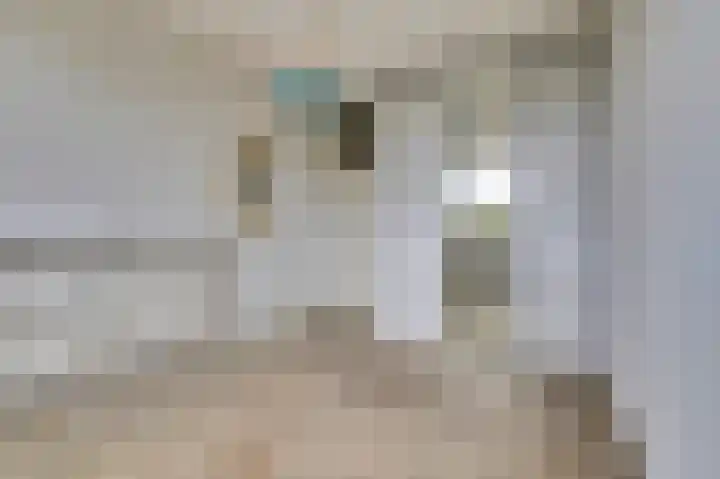 De Zalmen 101 Doorwerth thumbnail 23