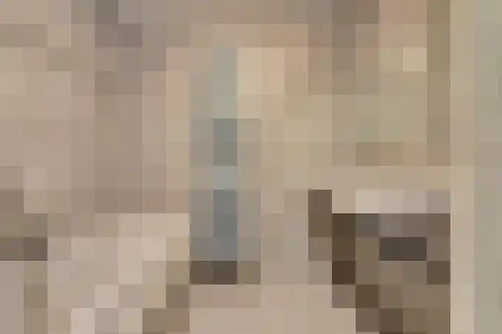 De Zalmen 101 Doorwerth thumbnail 25