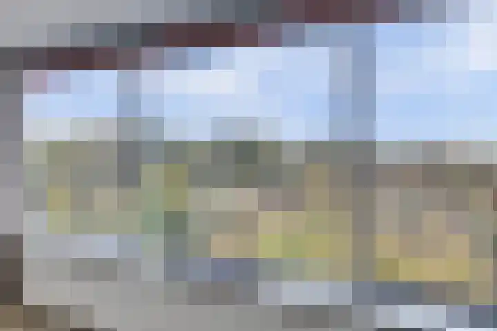 De Zalmen 101 Doorwerth thumbnail 27