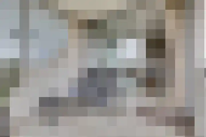 De Zalmen 101 Doorwerth thumbnail 28
