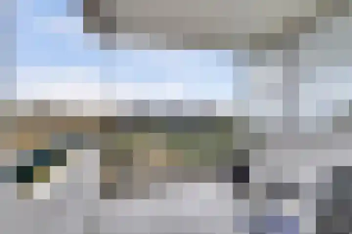 De Zalmen 101 Doorwerth thumbnail 31