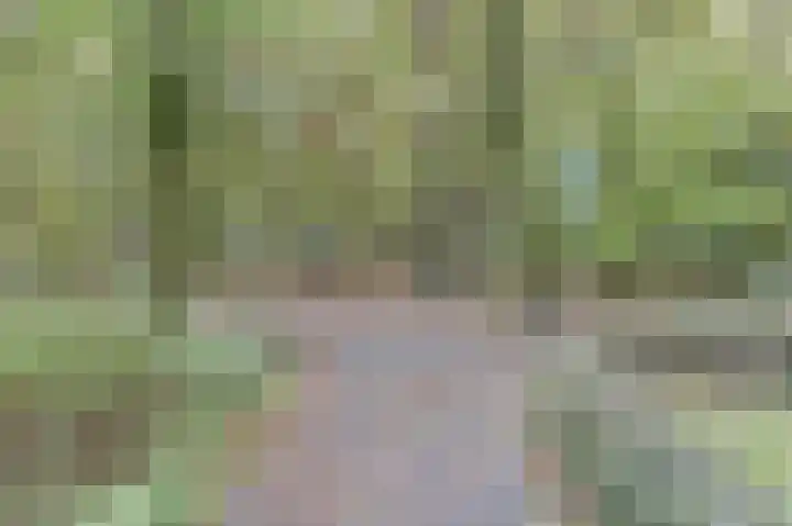 De Zalmen 101 Doorwerth thumbnail 33