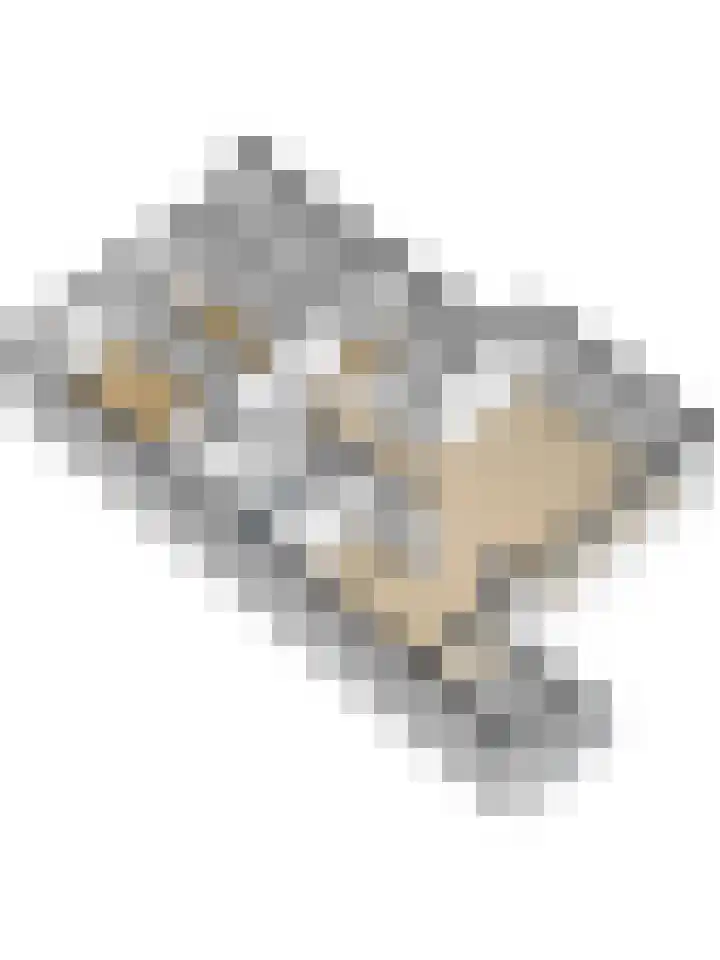 De Zalmen 101 Doorwerth thumbnail 35