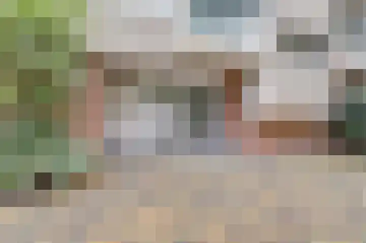 De Zalmen 101 Doorwerth thumbnail 4