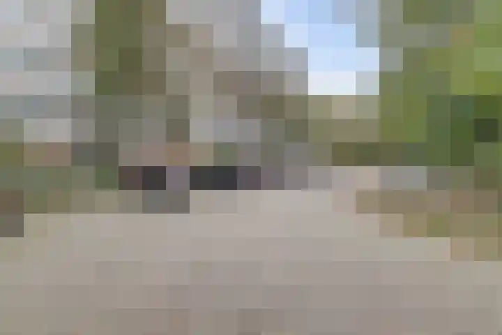 De Zalmen 101 Doorwerth thumbnail 5