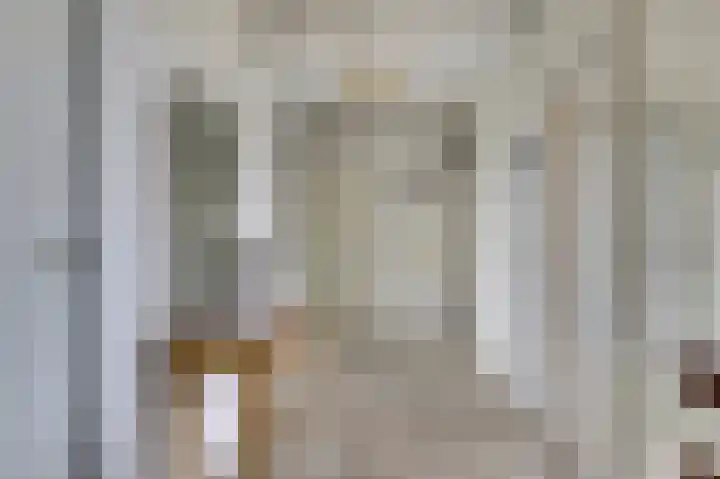 De Zalmen 101 Doorwerth thumbnail 9