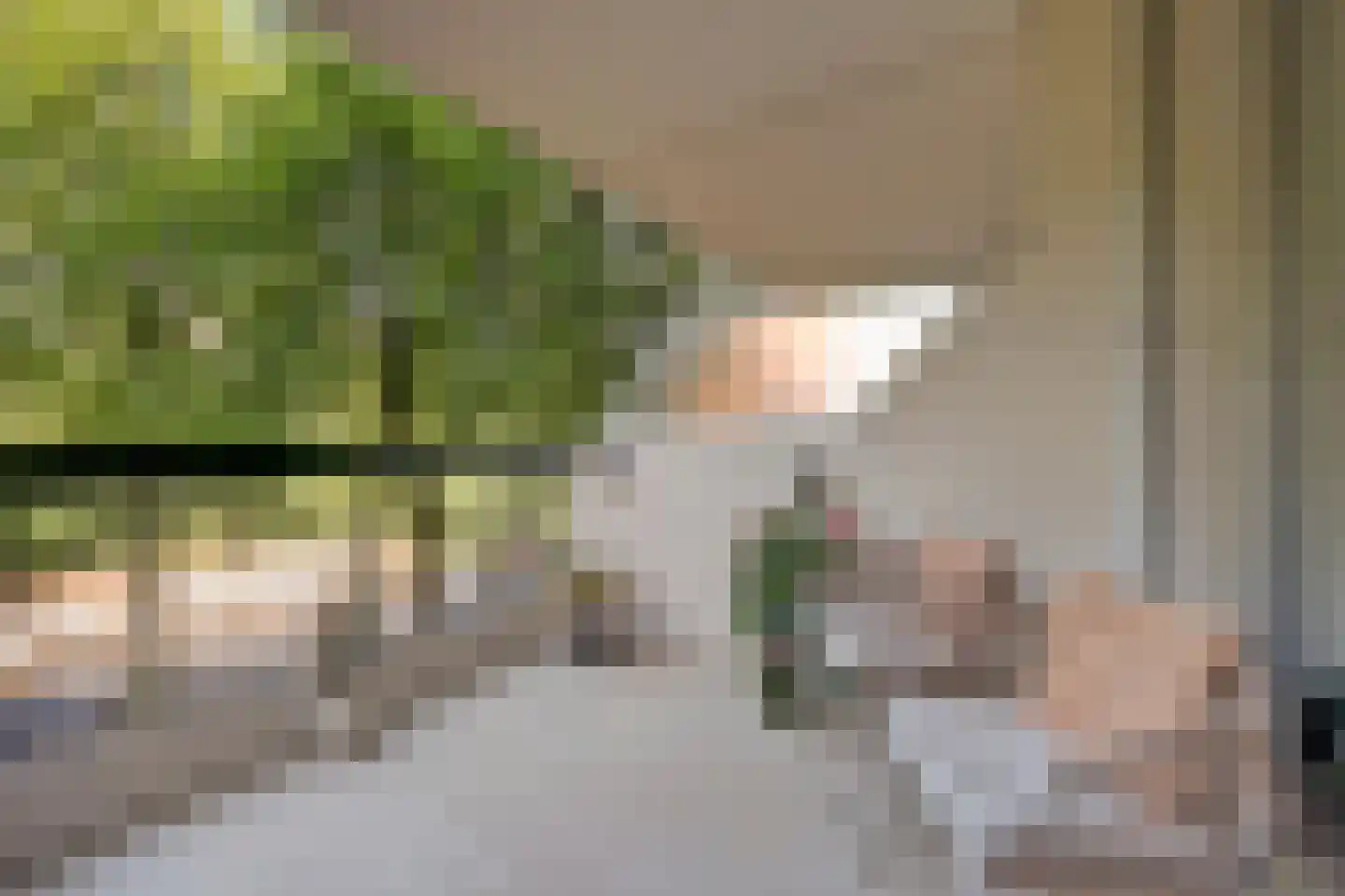 De Zalmen 109 Doorwerth thumbnail 12