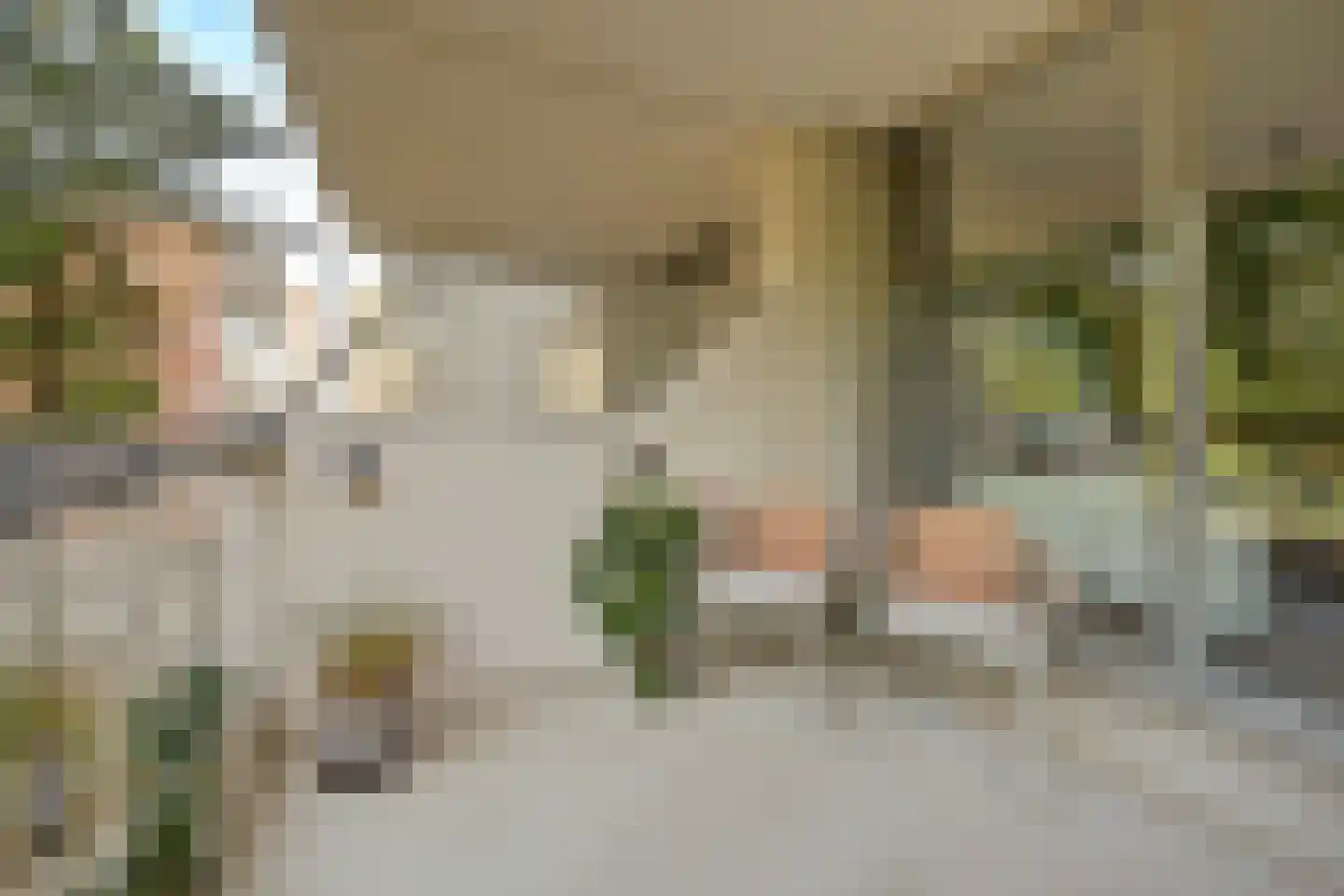 De Zalmen 109 Doorwerth thumbnail 13