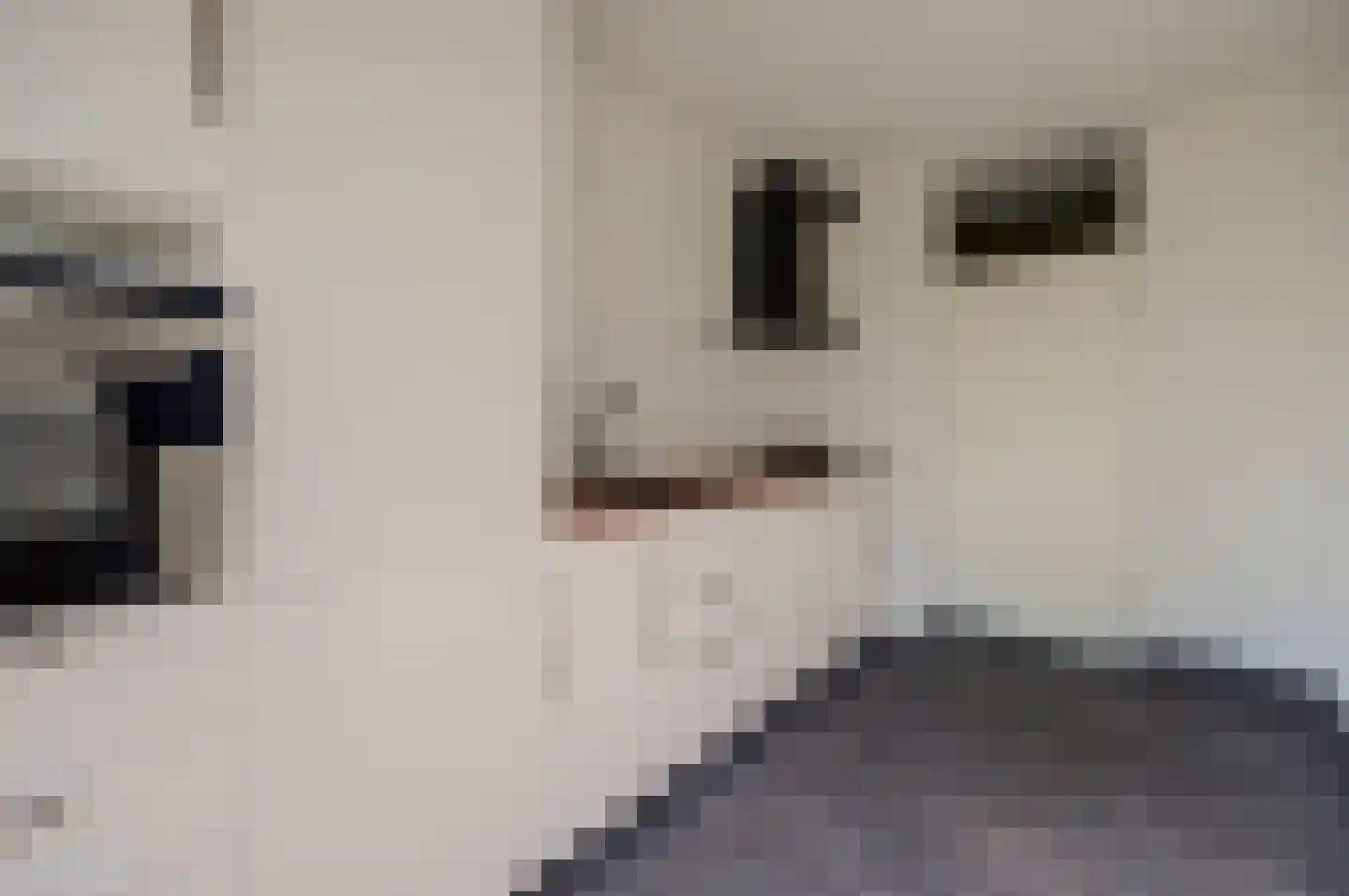 De Zalmen 109 Doorwerth thumbnail 16