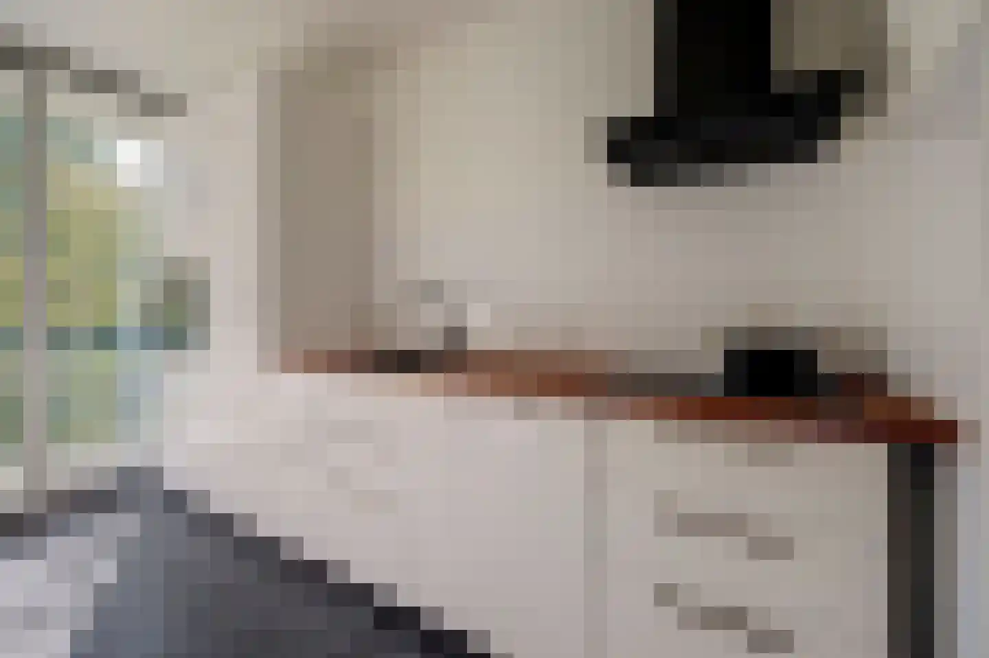 De Zalmen 109 Doorwerth thumbnail 17