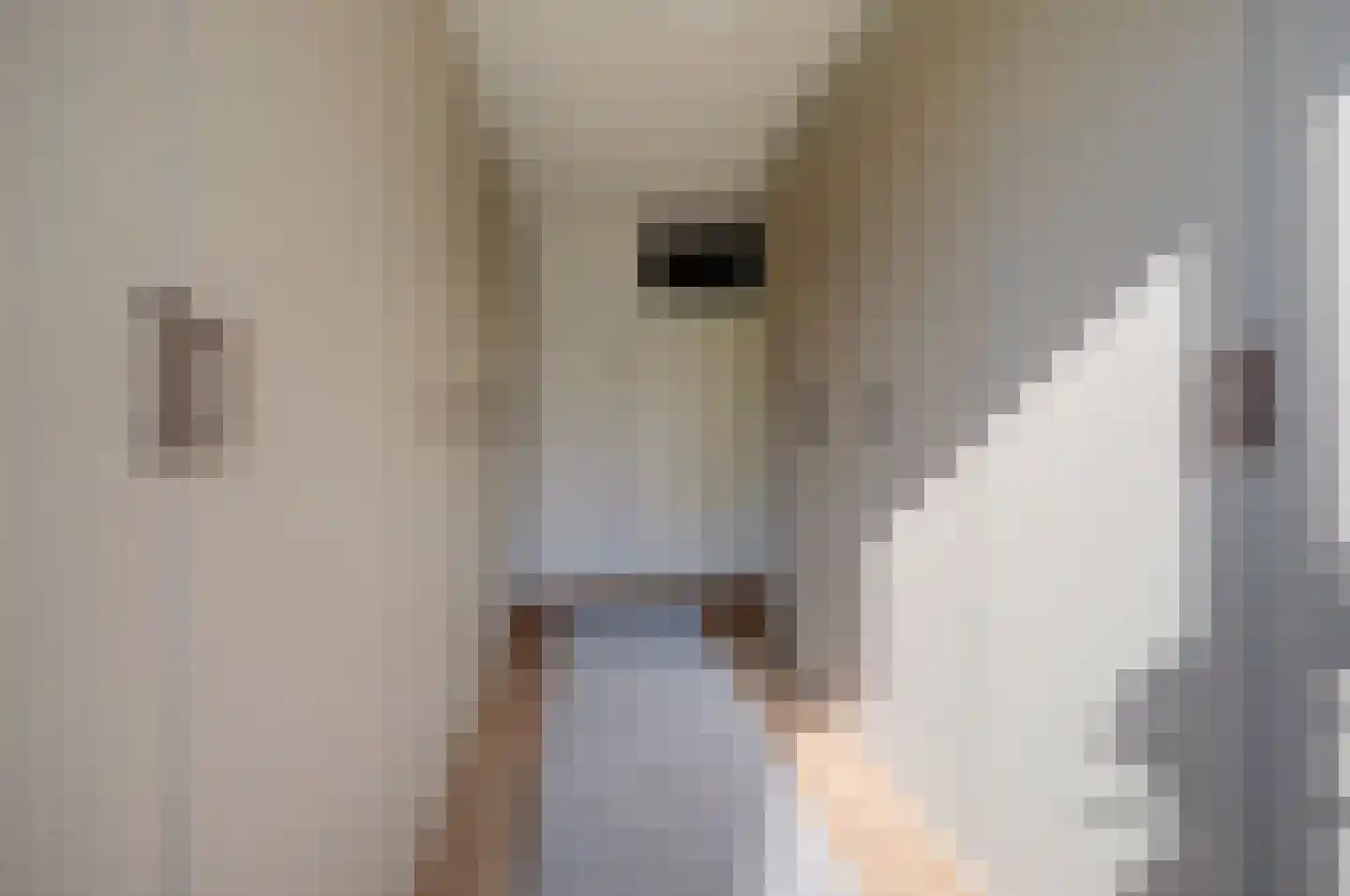 De Zalmen 109 Doorwerth thumbnail 21
