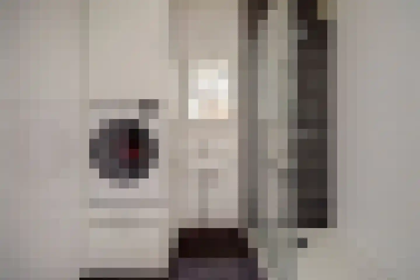 De Zalmen 109 Doorwerth thumbnail 23