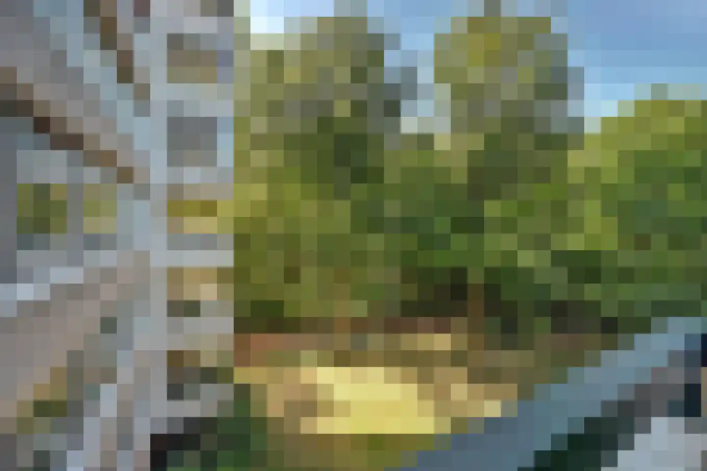 De Zalmen 109 Doorwerth thumbnail 29