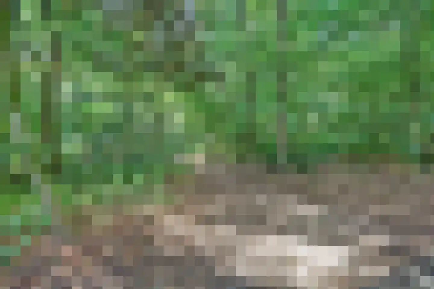 De Zalmen 109 Doorwerth thumbnail 35