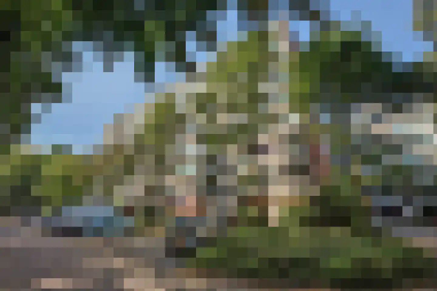 De Zalmen 109 Doorwerth thumbnail 36