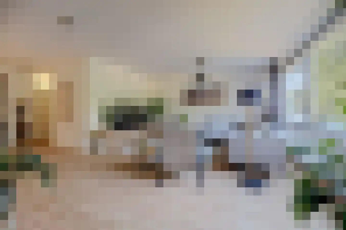 De Zalmen 109 Doorwerth thumbnail 7