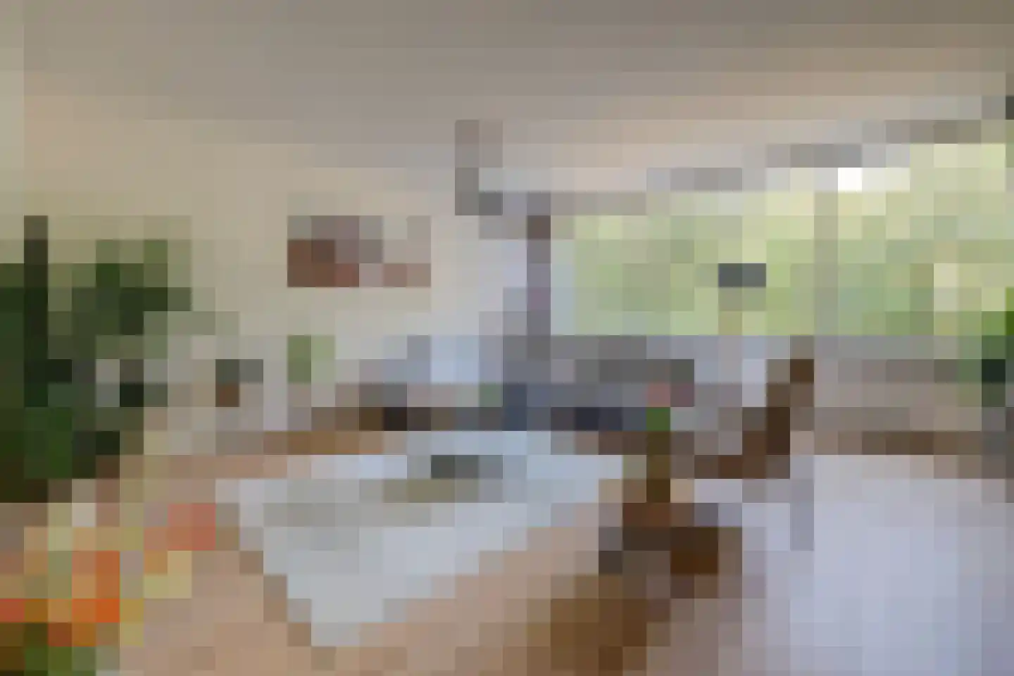 De Zalmen 109 Doorwerth thumbnail 8