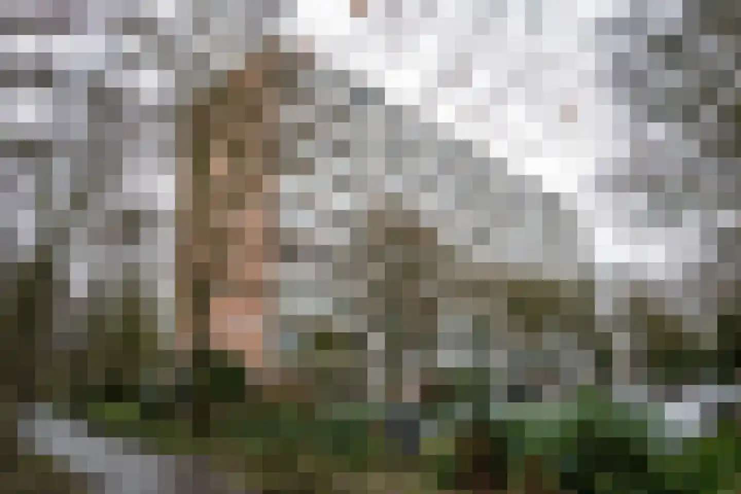 De Zalmen 118 Doorwerth