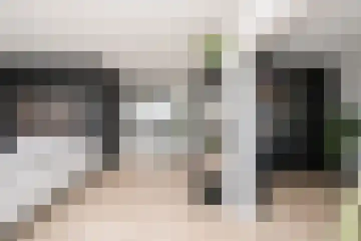 De Zalmen 118 Doorwerth thumbnail 14