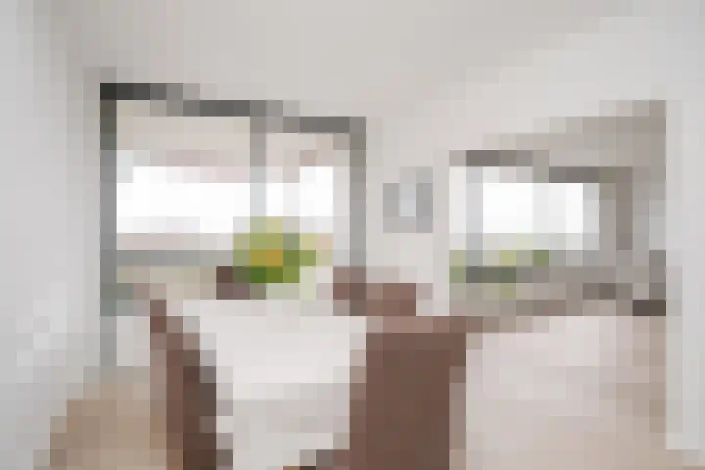 De Zalmen 118 Doorwerth thumbnail 16