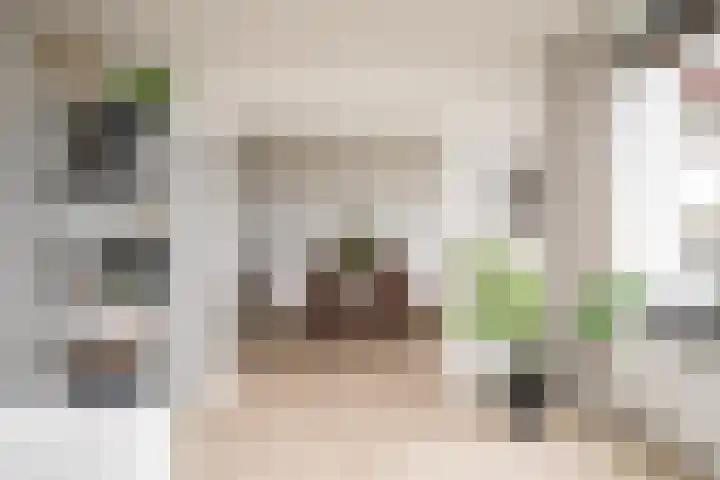 De Zalmen 118 Doorwerth thumbnail 19