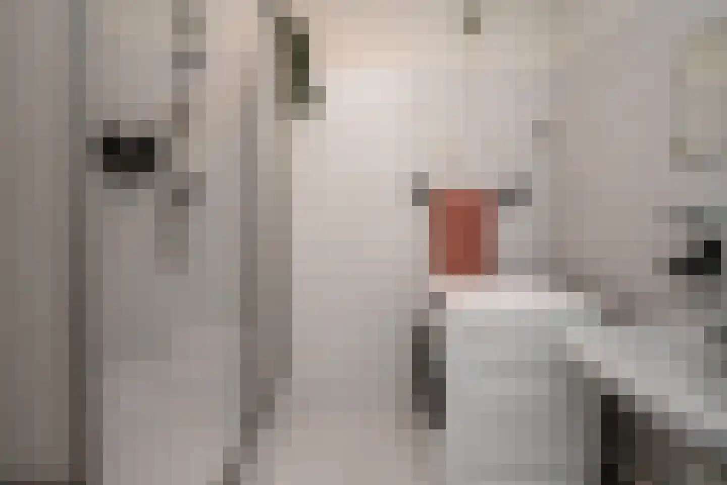 De Zalmen 118 Doorwerth thumbnail 24