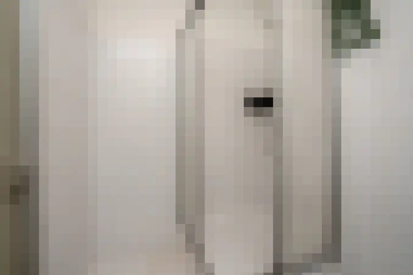 De Zalmen 118 Doorwerth thumbnail 25