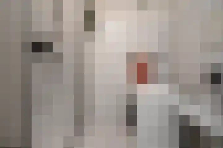 De Zalmen 118 Doorwerth thumbnail 29