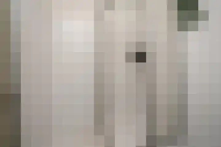 De Zalmen 118 Doorwerth thumbnail 30