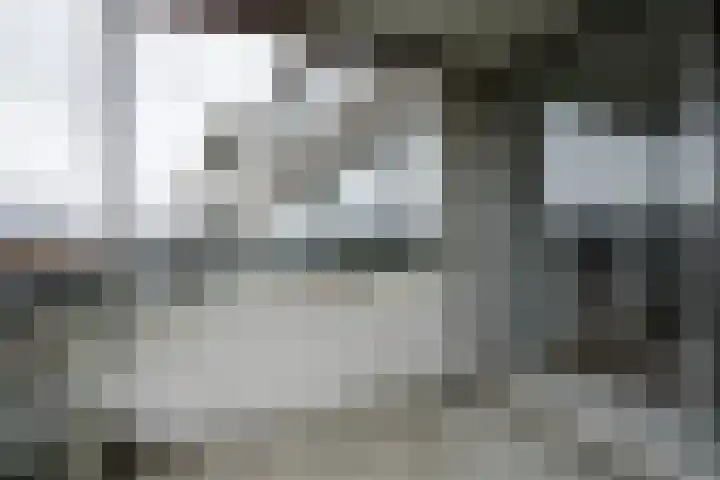 De Zalmen 118 Doorwerth thumbnail 33