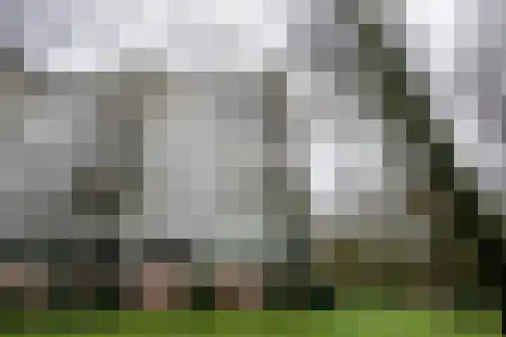 De Zalmen 118 Doorwerth thumbnail 7