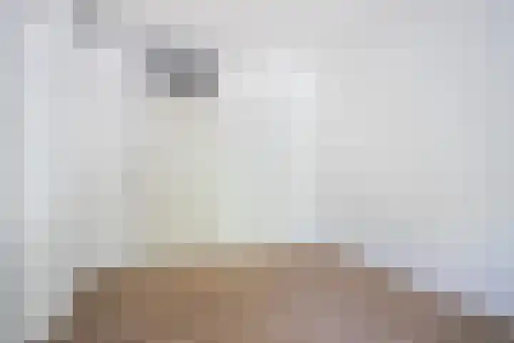 De Zalmen 28 Doorwerth thumbnail 16