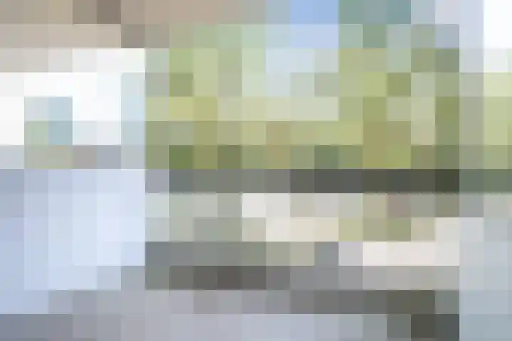 De Zalmen 28 Doorwerth thumbnail 17
