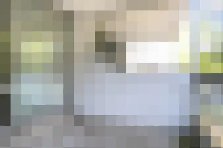 De Zalmen 28 Doorwerth thumbnail 18