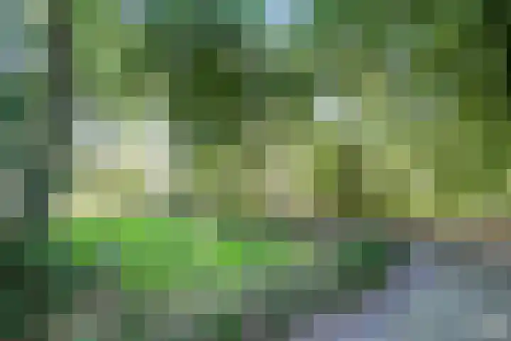 De Zalmen 28 Doorwerth thumbnail 21