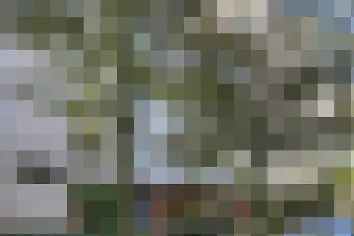 De Zalmen 28 Doorwerth thumbnail 22
