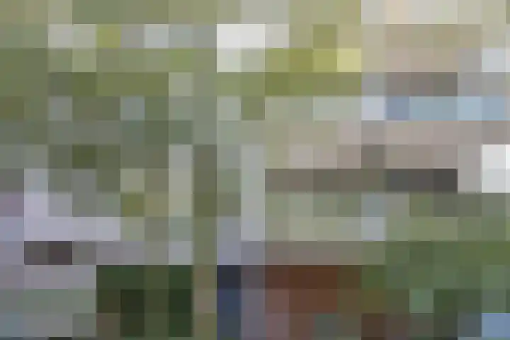 De Zalmen 28 Doorwerth thumbnail 23
