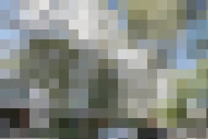 De Zalmen 28 Doorwerth thumbnail 24
