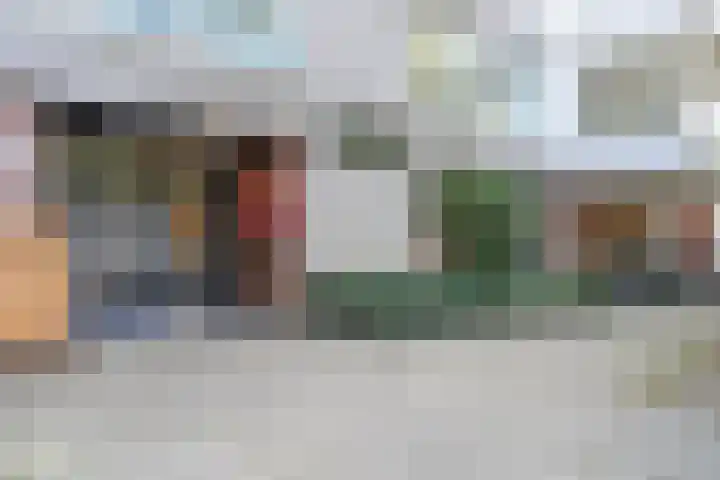 De Zalmen 28 Doorwerth thumbnail 5