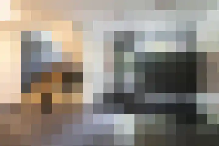 De Zalmen 28 Doorwerth thumbnail 6